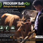 banner program BaBeQu. Relawan sedang memeriksa kesehatan calon sapi qurban
